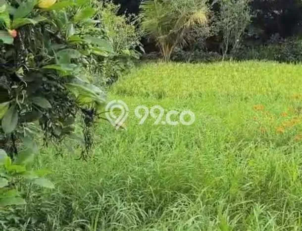 Tanah Strategis Disewakan di Ubud Gianyar Seluas 1000m2 Tanah Strategis Disewakan di Ubud Gianyar Seluas 1000m2