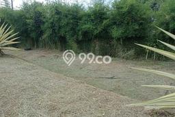 Kavling Tanah di Sukaraja Dijual Luas 2500m2 Legalitas SHM Kavling Tanah di Sukaraja Dijual Luas 2500m2 Legalitas SHM