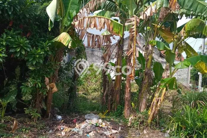 Kavling Tanah Dijual di Babelan, Bekasi, Luas 148m2 Area Strategis Kavling Tanah Dijual di Babelan, Bekasi, Luas 148m2 Area Strategis