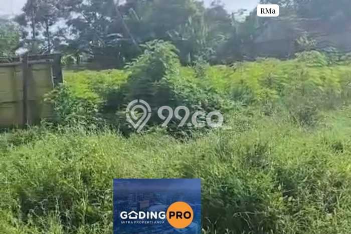 Kavling Tanah Dijual di Cibadak Sukabumi Spesifikasi 3000m2 Kavling Tanah Dijual di Cibadak Sukabumi Spesifikasi 3000m2