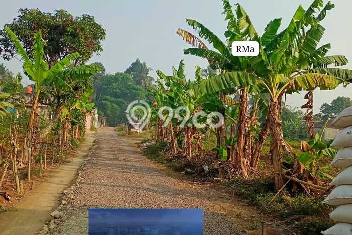 Kavling Tanah Dijual di Cibadak Sukabumi Spesifikasi 3000m2 Kavling Tanah Dijual di Cibadak Sukabumi Spesifikasi 3000m2
