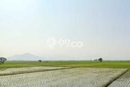 Lahan Dijual Lokasi Majalaya, Bandung dengan Luas Tanah 3500m2 dan Status AJB Lahan Dijual Lokasi Majalaya, Bandung dengan Luas Tanah 3500m2 dan Status AJB