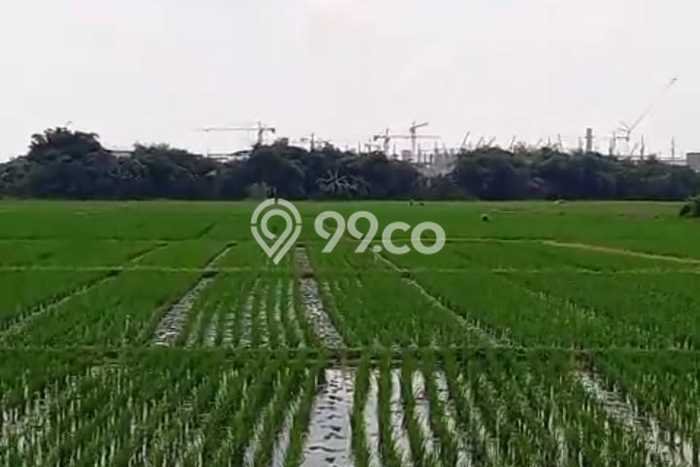 Tanah untuk Dijual Lokasi Pabuaran, Subang Luas 40000m2 SHM Tanah untuk Dijual Lokasi Pabuaran, Subang Luas 40000m2 SHM