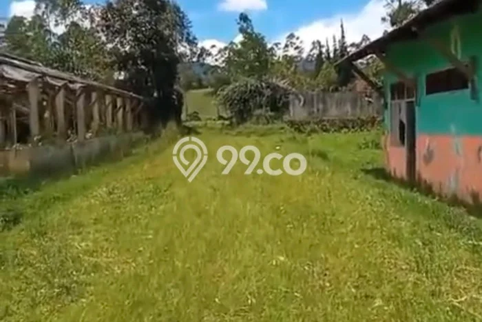 Lahan Kosong Disewakan di Pangalengan, Bandung, Luas 20000m2 Lahan Kosong Disewakan di Pangalengan, Bandung, Luas 20000m2