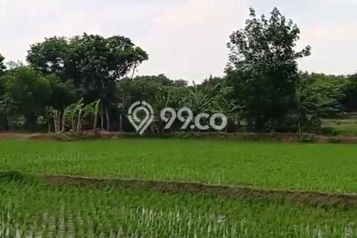 Tanah untuk Dijual Lokasi Pabuaran, Subang Luas 40000m2 SHM Tanah untuk Dijual Lokasi Pabuaran, Subang Luas 40000m2 SHM