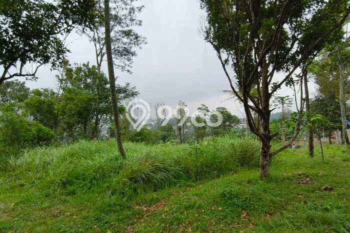 Tanah Kavling di Tanjungsari Dijual dengan Luas 40000m2 Tanah Kavling di Tanjungsari Dijual dengan Luas 40000m2