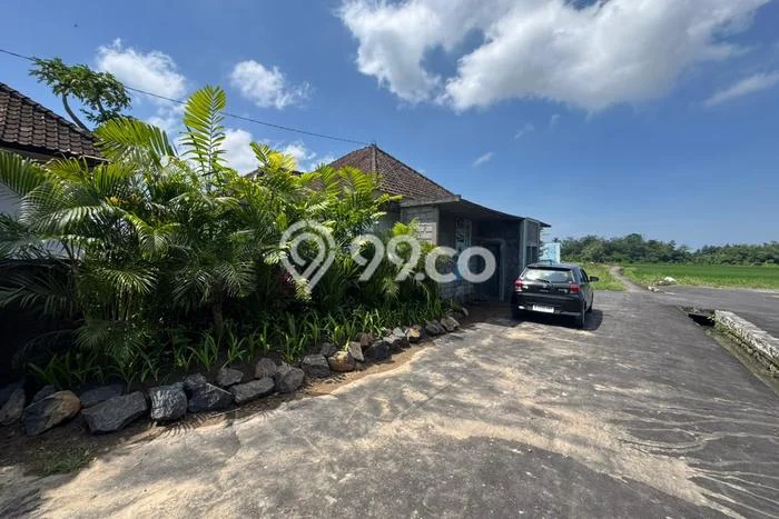 Tanah Kavling Dijual di Kedungu, Tabanan dengan Luas Tanah 120m2 Tanah Kavling Dijual di Kedungu, Tabanan dengan Luas Tanah 120m2