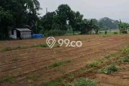 Lahan Kosong Dijual di Cibungbulang, Bogor, Luas 3100m2 Area Strategis Lahan Kosong Dijual di Cibungbulang, Bogor, Luas 3100m2 Area Strategis