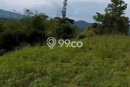 Kavling Tanah Dijual di Sukajaya Bogor Spesifikasi 2000m2 Kavling Tanah Dijual di Sukajaya Bogor Spesifikasi 2000m2
