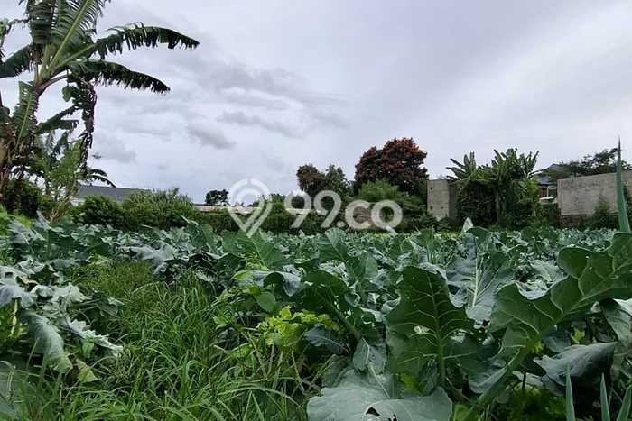Tanah Strategis Dijual di Lembang Bandung Barat 2m2 Tanah Strategis Dijual di Lembang Bandung Barat 2m2