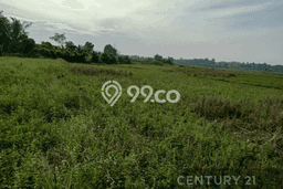 Tanah Kavling untuk Dijual di Cikeusal Serang 1658m2 Tanah Kavling untuk Dijual di Cikeusal Serang 1658m2