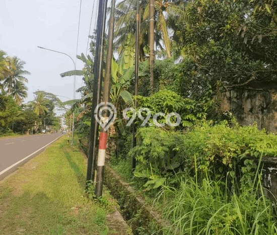 Tanah Komersial Dijual di Panimbang Pandeglang 2552m2 Tanah Komersial Dijual di Panimbang Pandeglang 2552m2