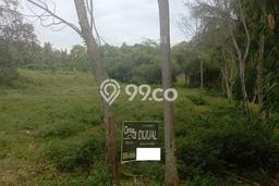 Jarang Ada! Tanah di Waringinkurung Punya Luas 1240m2 - Jarang Ada! Tanah di Waringinkurung Punya Luas 1240m2 -