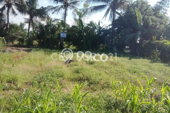 Tanah Dijual Area Strategis di Cilegon Indah Cilegon 700m2 Tanah Dijual Area Strategis di Cilegon Indah Cilegon 700m2