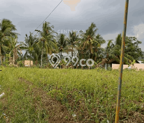 Lahan Dijual Lokasi Strategis di Cilegon dengan Luas 335m2 Lahan Dijual Lokasi Strategis di Cilegon dengan Luas 335m2