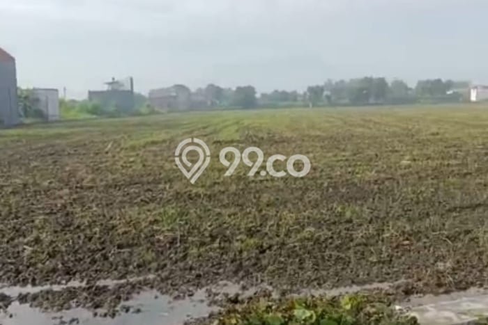 Jarang Ada! Tanah di Sukodono Punya Luas 8400m2 SHM Jarang Ada! Tanah di Sukodono Punya Luas 8400m2 SHM