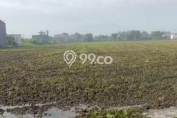 Tanah Kosong Dijual di Sidoarjo dengan Area 8400m2 Tanah Kosong Dijual di Sidoarjo dengan Area 8400m2