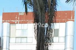 Ruko Usaha Dijual di Kelapa Gading Jakarta Utara LT 200m2 & LB 680m2 Ruko Usaha Dijual di Kelapa Gading Jakarta Utara LT 200m2 & LB 680m2