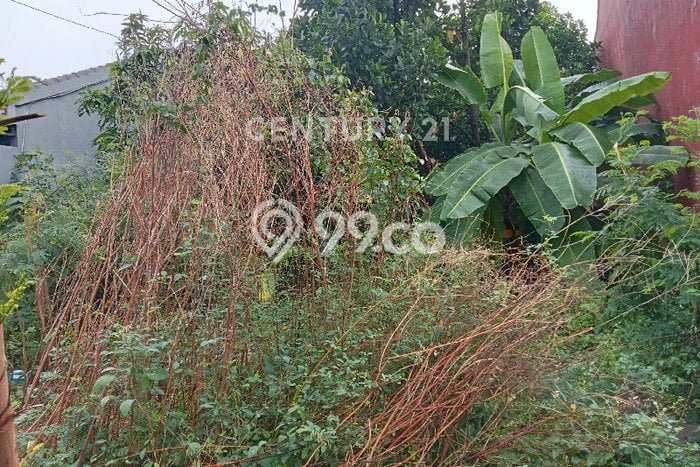 Tanah di Tegal Timur, Tegal Luas 300m2 Dijual Segera Tanah di Tegal Timur, Tegal Luas 300m2 Dijual Segera