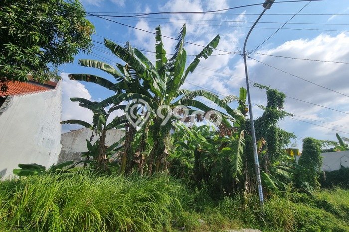 Kavling Tanah di Tegal Barat Dijual Luas 200m2 Legalitas SHM Kavling Tanah di Tegal Barat Dijual Luas 200m2 Legalitas SHM