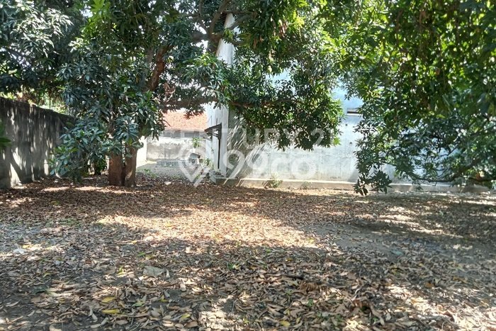 Lokasi Strategis! Dijual Gudang Bisnis di Warureja, Tegal Kondisi Baik Lokasi Strategis! Dijual Gudang Bisnis di Warureja, Tegal Kondisi Baik