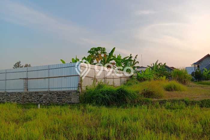 Lahan Investasi Lokasi Kramat Tegal SHM Lahan Investasi Lokasi Kramat Tegal SHM