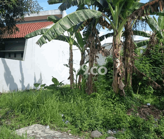Kavling Tanah di Tegal Barat Dijual Luas 200m2 Legalitas SHM Kavling Tanah di Tegal Barat Dijual Luas 200m2 Legalitas SHM
