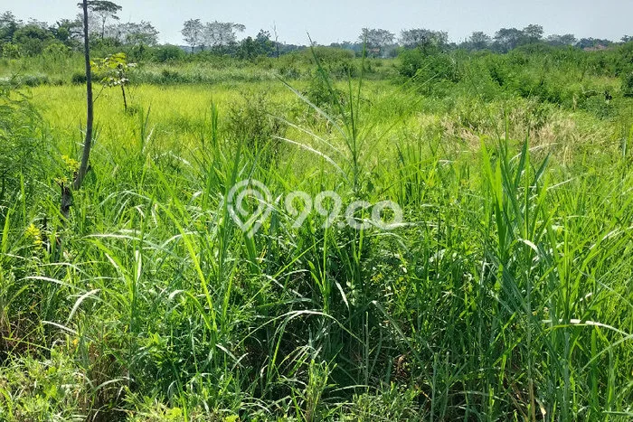Tanah Kavling untuk Dijual di Tegal Selatan Tegal 657m2 Tanah Kavling untuk Dijual di Tegal Selatan Tegal 657m2