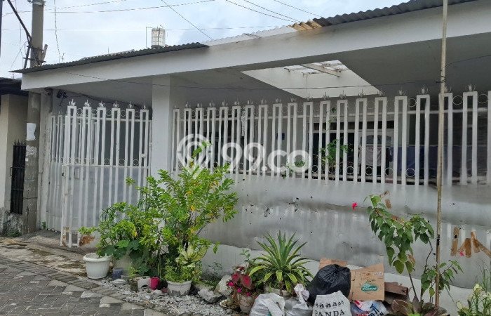 Dijual Rumah 3 Kamar Lokasi Strategis Nyaman dan Strategis di Mulyorejo Dijual Rumah 3 Kamar Lokasi Strategis Nyaman dan Strategis di Mulyorejo