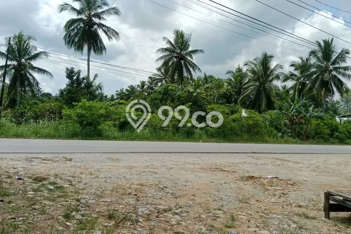 Dijual Tanah di Waru Penajam Paser Utara Luas 12500m2 SHM Dijual Tanah di Waru Penajam Paser Utara Luas 12500m2 SHM