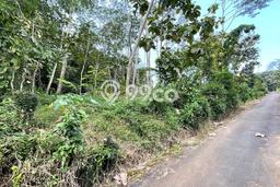Kavling Tanah Dijual di Mojosongo, Boyolali, Luas 1400m2 Area Strategis Kavling Tanah Dijual di Mojosongo, Boyolali, Luas 1400m2 Area Strategis