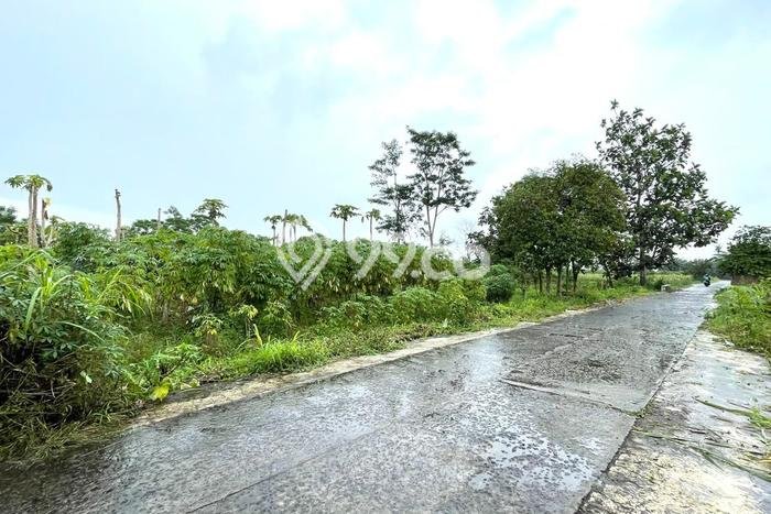 Dijual Tanah di Teras Boyolali Luas 1000m2 SHM Dijual Tanah di Teras Boyolali Luas 1000m2 SHM