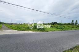 Kavling Tanah di Pedan Dijual Luas 5509m2 Legalitas SHM Kavling Tanah di Pedan Dijual Luas 5509m2 Legalitas SHM