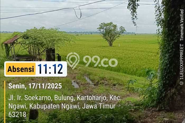Tanah Kavling untuk Dijual di Ngawi Ngawi 7890m2 Tanah Kavling untuk Dijual di Ngawi Ngawi 7890m2