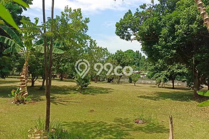 Lahan Dijual Lokasi Ciputat Timur, Tangerang Selatan dengan Luas Tanah 3000m2 dan Status SHM Lahan Dijual Lokasi Ciputat Timur, Tangerang Selatan dengan Luas Tanah 3000m2 dan Status SHM