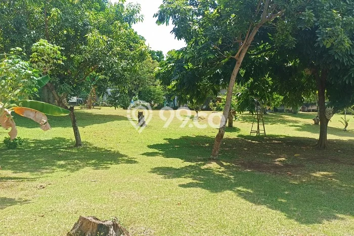 Lahan Dijual Lokasi Ciputat Timur, Tangerang Selatan dengan Luas Tanah 3000m2 dan Status SHM Lahan Dijual Lokasi Ciputat Timur, Tangerang Selatan dengan Luas Tanah 3000m2 dan Status SHM