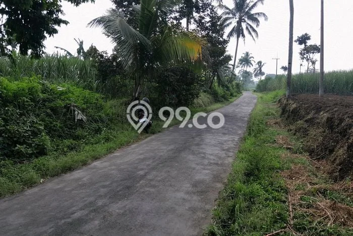 Kavling Tanah Dijual di Tumpang, Malang, Luas 1120m2 Area Strategis Kavling Tanah Dijual di Tumpang, Malang, Luas 1120m2 Area Strategis