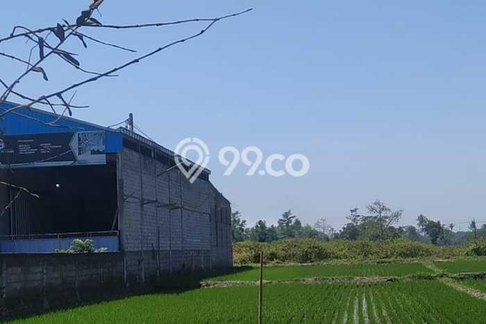 Lahan Dijual Lokasi Kepanjen, Malang dengan Luas Tanah 1157m2 dan Status SHM Lahan Dijual Lokasi Kepanjen, Malang dengan Luas Tanah 1157m2 dan Status SHM