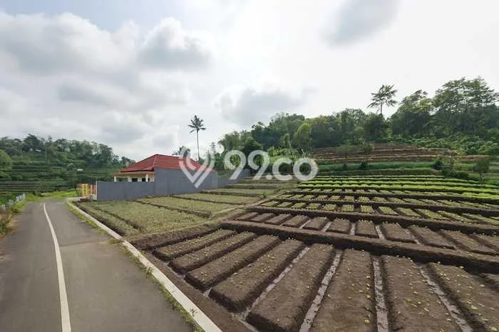 Jarang Ada! Tanah di Junrejo Punya Luas 996m2 SHM Jarang Ada! Tanah di Junrejo Punya Luas 996m2 SHM