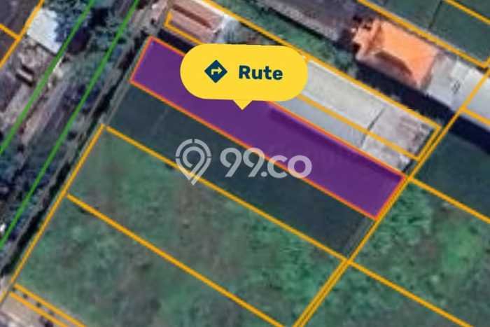 Lahan Dijual Lokasi Kepanjen, Malang dengan Luas Tanah 1157m2 dan Status SHM Lahan Dijual Lokasi Kepanjen, Malang dengan Luas Tanah 1157m2 dan Status SHM