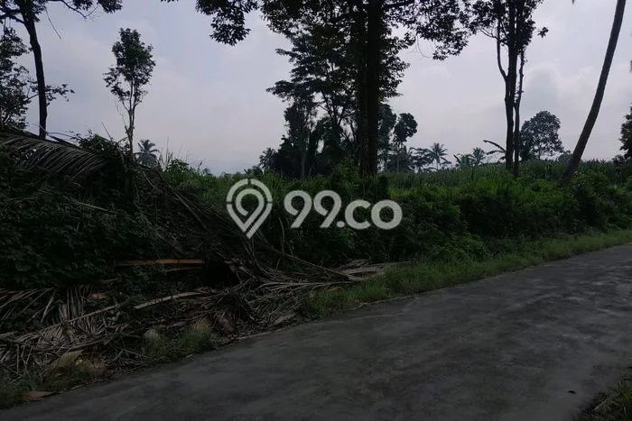 Kavling Tanah Dijual di Tumpang, Malang, Luas 1120m2 Area Strategis Kavling Tanah Dijual di Tumpang, Malang, Luas 1120m2 Area Strategis