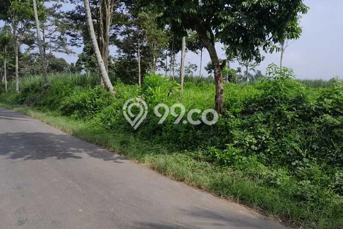 Kavling Tanah Dijual di Tumpang, Malang, Luas 1120m2 Area Strategis Kavling Tanah Dijual di Tumpang, Malang, Luas 1120m2 Area Strategis