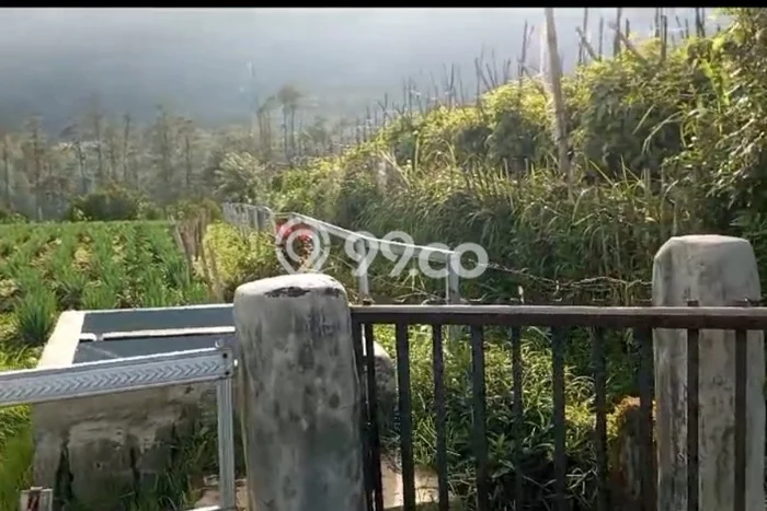 Kavling Tanah Dijual di Tutur Pasuruan Spesifikasi 1385m2 Kavling Tanah Dijual di Tutur Pasuruan Spesifikasi 1385m2