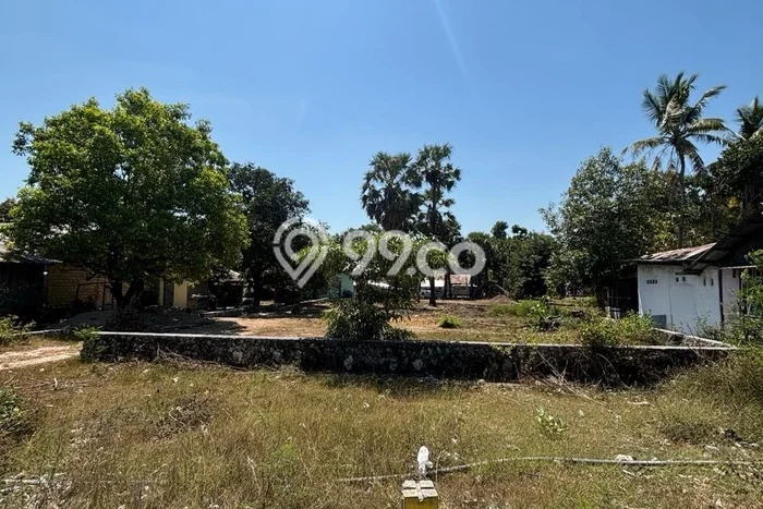 Tanah di Kupang Timur, Kupang Luas 1460m2 Dijual Segera Tanah di Kupang Timur, Kupang Luas 1460m2 Dijual Segera