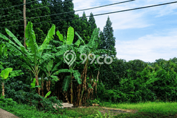 Dijual Tanah 100m2 di Setiabudi, Bandung Dijual Tanah 100m2 di Setiabudi, Bandung