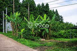 Kavling Tanah untuk Dijual di Setiabudi, Bandung, Luas 100m2 Kavling Tanah untuk Dijual di Setiabudi, Bandung, Luas 100m2