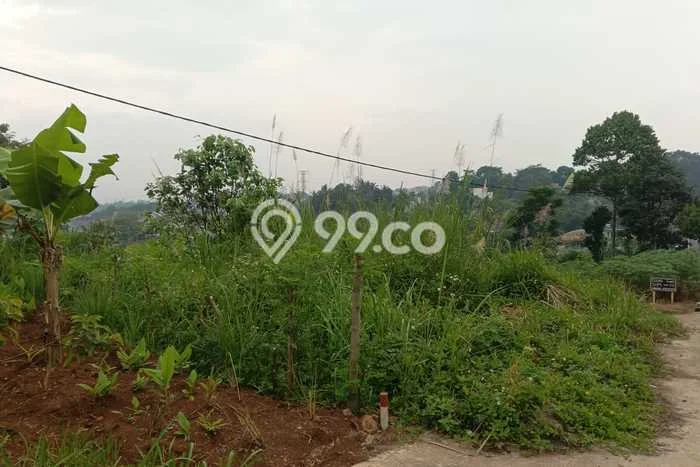 Jarang Ada! Tanah di Cibiru Punya Luas 107m2 SHM Jarang Ada! Tanah di Cibiru Punya Luas 107m2 SHM