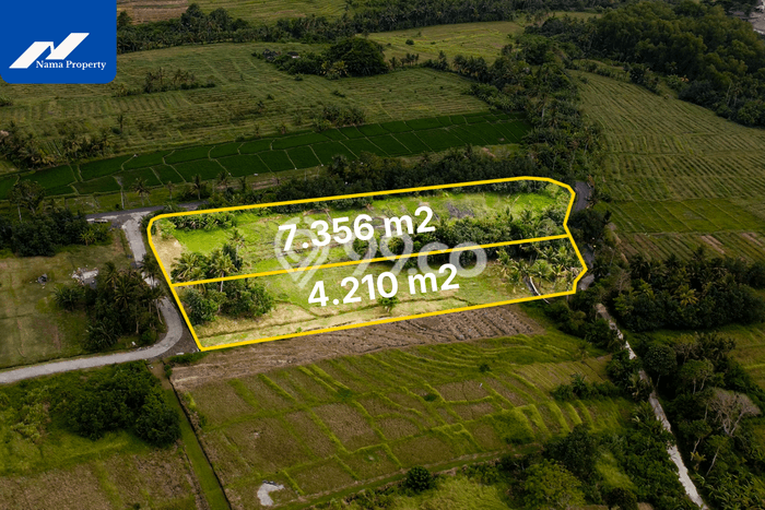 Tanah Dijual di Tabanan Seluas 4210m2 Strategis Tanah Dijual di Tabanan Seluas 4210m2 Strategis