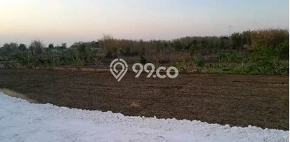 Tanah di Kembangbahu, Lamongan Luas 1264m2 Dijual Segera Tanah di Kembangbahu, Lamongan Luas 1264m2 Dijual Segera