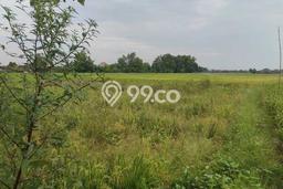 Kavling Tanah Dijual di Sarirejo, Lamongan, Luas 554m2 Area Strategis Kavling Tanah Dijual di Sarirejo, Lamongan, Luas 554m2 Area Strategis